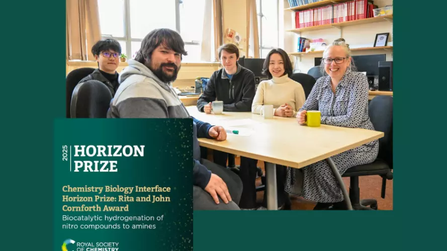 Prof Kylie Vincent and team wins RSC Horizon Prize