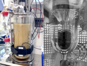 HydRegen and the University of Oxford case study